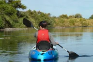 Mesa Kayaking Trip on Saguaro Lake thumbnail 3