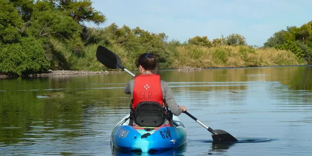 Mesa Kayaking Trip on Saguaro Lake - Image 3