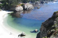 Point Lobos Nature Walk 2 hr thumbnail 3