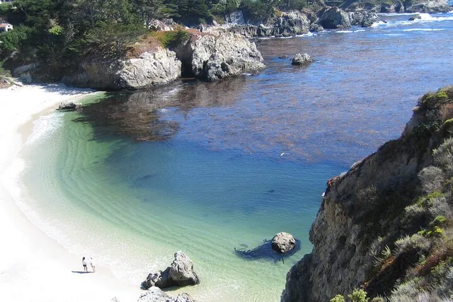 Point Lobos Nature Walk 2 hr - Image 3