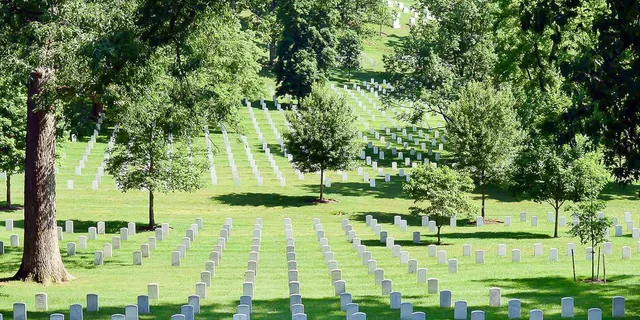 Arlington Cemetery Tour with Changing of the Guard 2.5 hr - Image 6