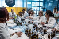 Miami Perfume Making Workshop 90 Minutes thumbnail 4