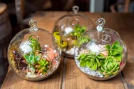 Orange County Flower Decorating Class thumbnail 5