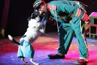 Las Vegas Comedy Pet Theater thumbnail 5