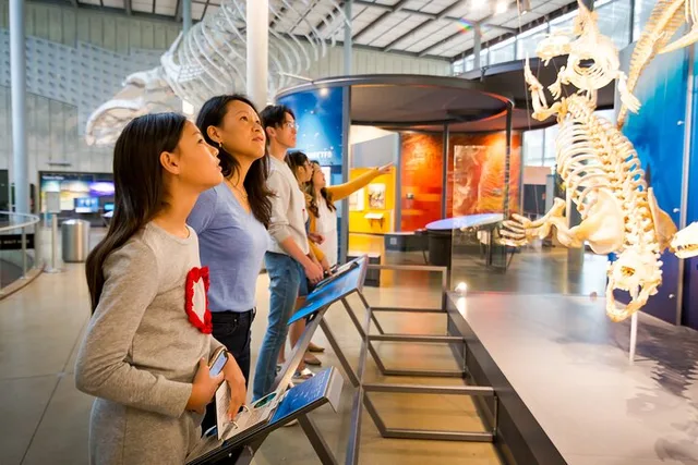 San Francisco Golden Gate Park and California Academy Tour - Image 6