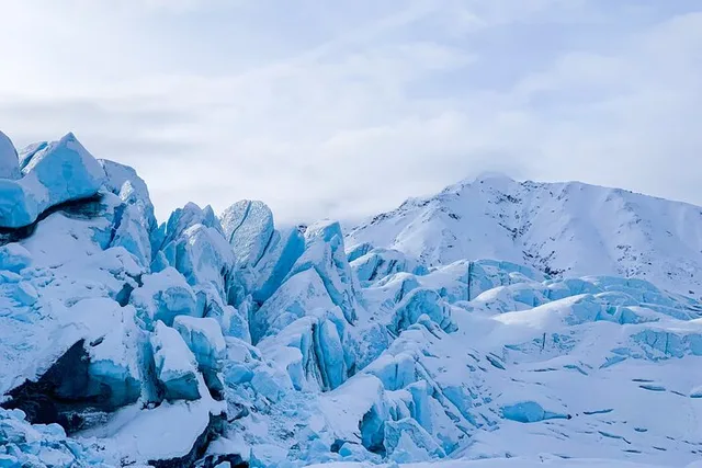 Anchorage Matanuska Glacier Tour 8 hr - Image 3