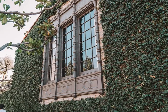 Los Angeles Self-Guided Tour of Westwood - Image 6