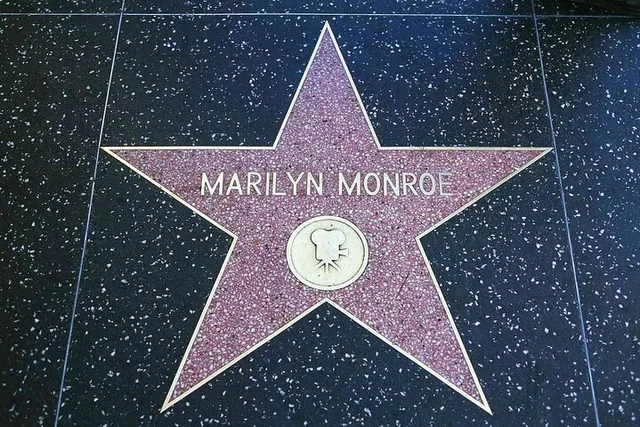 Hollywood Walk of Fame Historical Walking Tour - Image 3