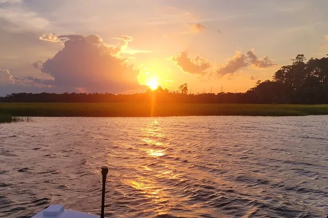 Savannah Dolphin and Birding Cruise at Sunset - Image 5