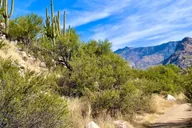 Tucson Horseback Riding Tour at Rancho Cerros thumbnail 5