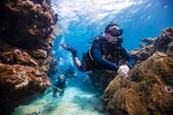 Key Largo Snorkel Tour at John Pennekamp State Park thumbnail 4