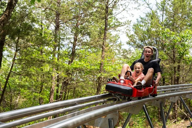 Branson Mountain Coaster - Image 1