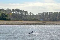Hilton Head Boat and Kayak Adventure thumbnail 2