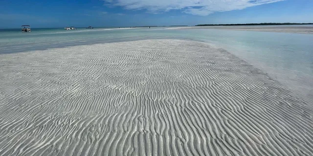 Key West Sandbar Adventure - Image 6