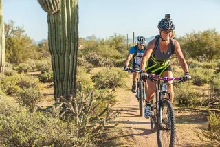 Scottsdale Mountain Bike Tour in Sonoran Desert