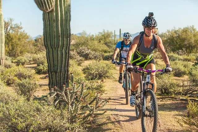 Scottsdale Mountain Bike Tour in Sonoran Desert - Image 1