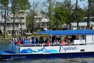 Orange Beach Dolphin Eco Cruise at Sunset thumbnail 5