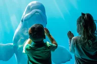 Chicago CityPASS® Attractions Tour thumbnail 6