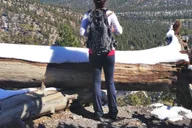 Las Vegas Mount Charleston Driving Adventure thumbnail 3