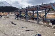 Skagway Yukon Suspension Bridge Tour 3.5 hr thumbnail 3