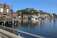 San Francisco Muir Woods, Sausalito, and Tiburon Day Trip thumbnail 5