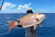 Key West Fishing Charter with Experienced Captain thumbnail 6