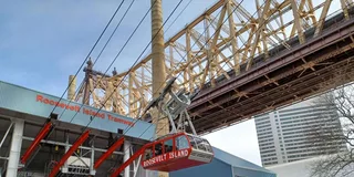 New York City Roosevelt Island Walking Tour with Tram Ride