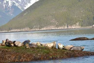 Skagway Ocean Raft Adventure thumbnail 4