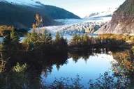 Juneau Mendenhall Glacier and Whale Watching thumbnail 2