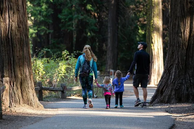 San Francisco Yosemite Highlights & Giant Sequoias Day Tour - Image 4