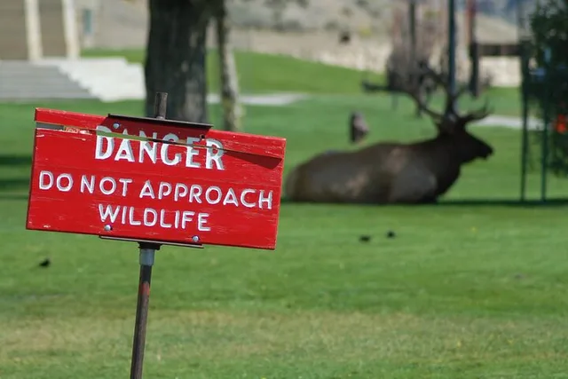 Yellowstone Grand Tour - Image 5