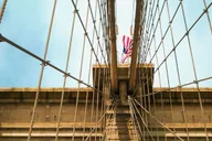 New York City Cultural Contrasts Tour thumbnail 3