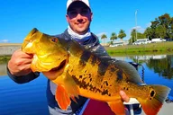 Boynton Beach Peacock Bass Fishing Trip thumbnail 4