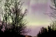 Anchorage Wilderness and Wine Tasting Tour thumbnail 4