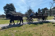 Nashville Andrew Jackson's Hermitage Tour thumbnail 4