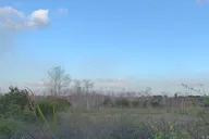 Florida Everglades Jeep Tour at Night thumbnail 3