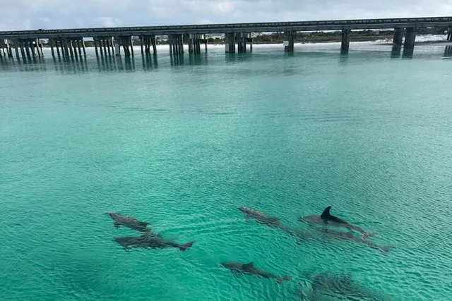 Destin Harbor Boat Tour - Image 3