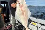 Ketchikan Fishing Charter Excursion thumbnail 5