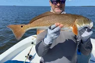 Crystal River Inshore Fishing Half Day thumbnail 3