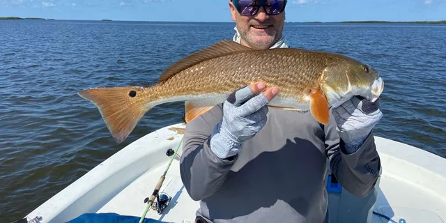 Crystal River Inshore Fishing Half Day - Image 3