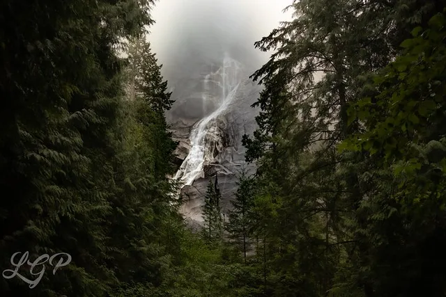 Bellingham to Whistler Private Tour - Image 4