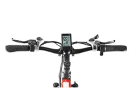 New York Electric Bike Rentals thumbnail 3
