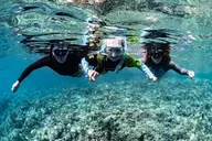 Kailua-Kona Snorkeling Tour in Kealakekua Bay thumbnail 5