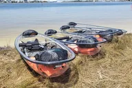Pensacola Beach Glass Kayak Tour thumbnail 4