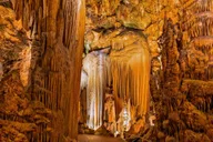 Washington DC Luray Caverns Day Trip thumbnail 1