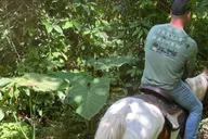 Miami Horseback Riding Tour thumbnail 1