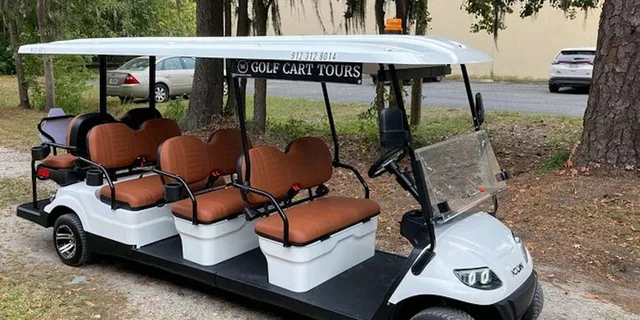 Savannah Bonaventure Cemetery Golf Cart Tour - Image 4