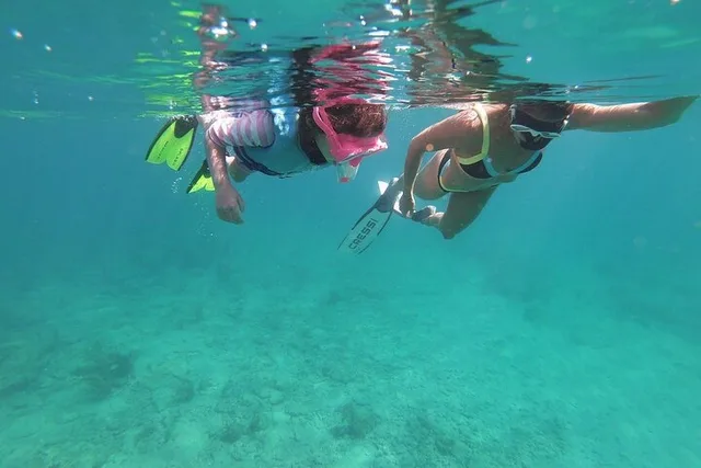 Pompano Beach Reef Snorkeling Tour - Image 4