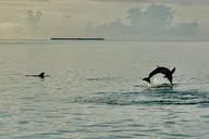 Key West Sunset Powerboat Cruise thumbnail 5
