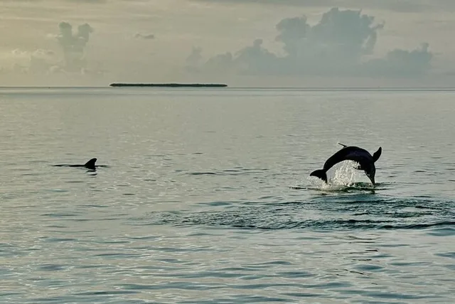 Key West Sunset Powerboat Cruise - Image 5